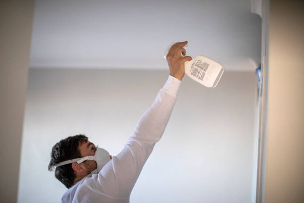 Best Mold Remediation for Schools in Bloomingdale, NJ