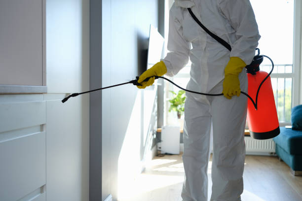 Best Insurance-Related Mold Remediation in Bloomingdale, NJ